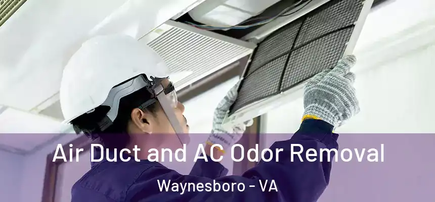  Air Duct and AC Odor Removal Waynesboro - VA
