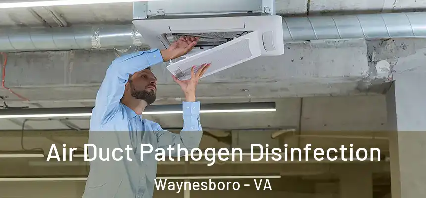  Air Duct Pathogen Disinfection Waynesboro - VA