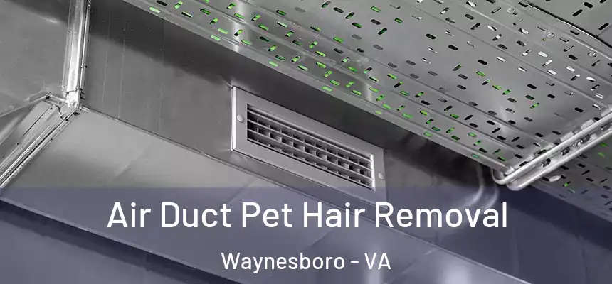  Air Duct Pet Hair Removal Waynesboro - VA