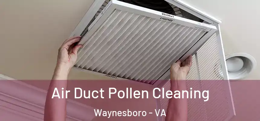  Air Duct Pollen Cleaning Waynesboro - VA