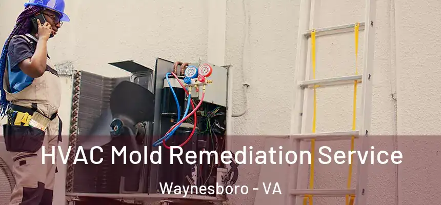  HVAC Mold Remediation Service Waynesboro - VA