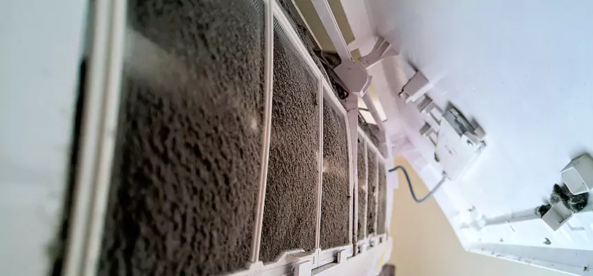 Preventive Air Duct Bacteria Removal in Waynesboro