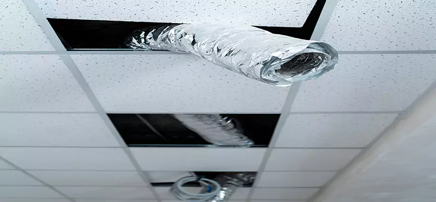 Our Air Duct Pet Hair Removal Services in Waynesboro, VA