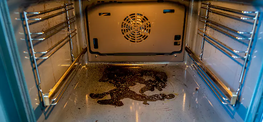 Our Dryer Vent Mold Cleaning Services in Waynesboro, VA