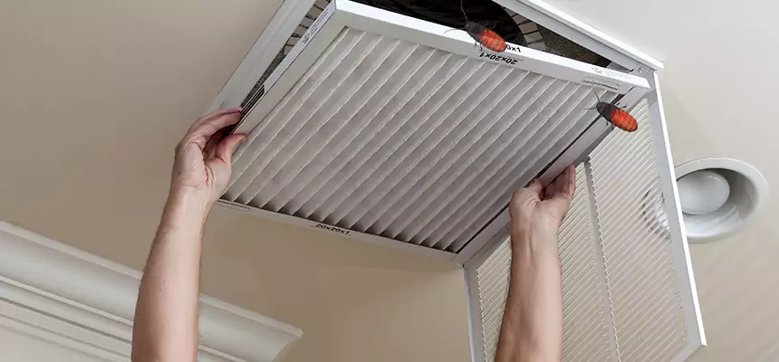 Our Insect Removal from Air Ducts Services in Waynesboro, VA
