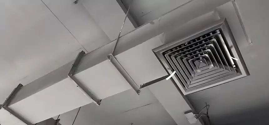 Our Rodent Droppings In Vents Services in Waynesboro, VA