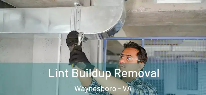  Lint Buildup Removal Waynesboro - VA