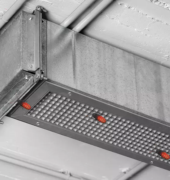 About Air Duct Cockroach Removal in Waynesboro, VA