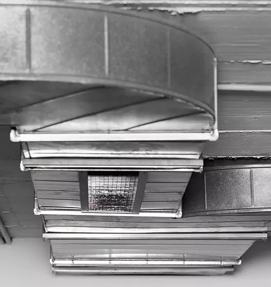 Professional Air Duct Pest Removal in Waynesboro, VA