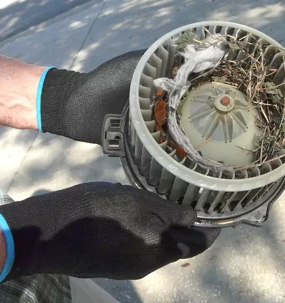 About Air Duct Rat Removal in Waynesboro, VA