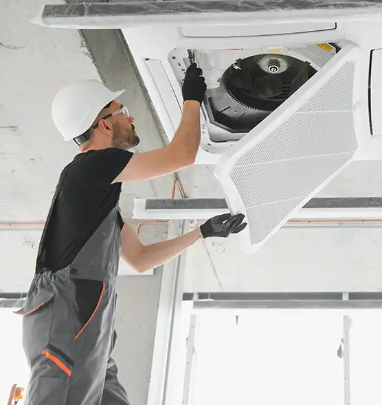 About Air Duct Rodent Removal in Waynesboro, VA