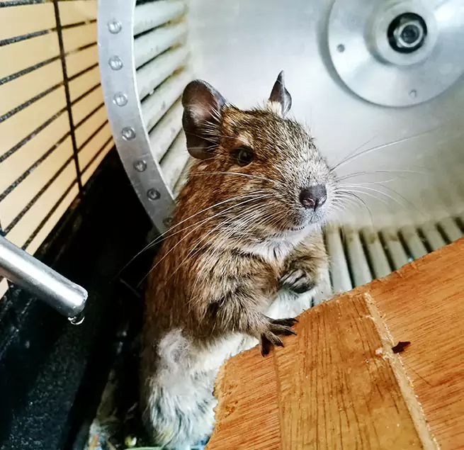 Why Homeowners & Businesses Trust Us Waynesboro, VA