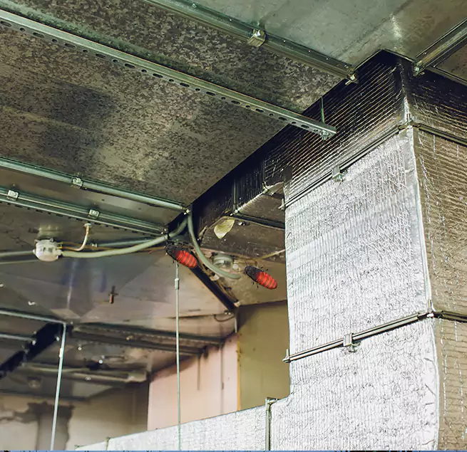 Why Homeowners & Businesses Trust Us Waynesboro, VA?